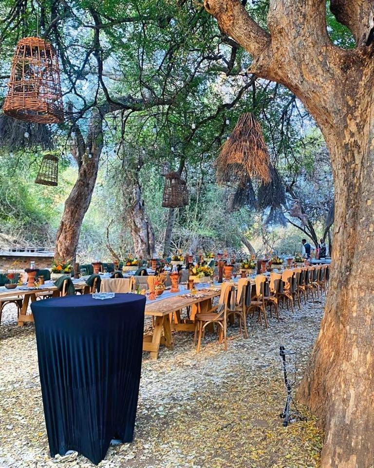 Palala Boutique Game Lodge And Spa Tom Burke Buitenkant foto