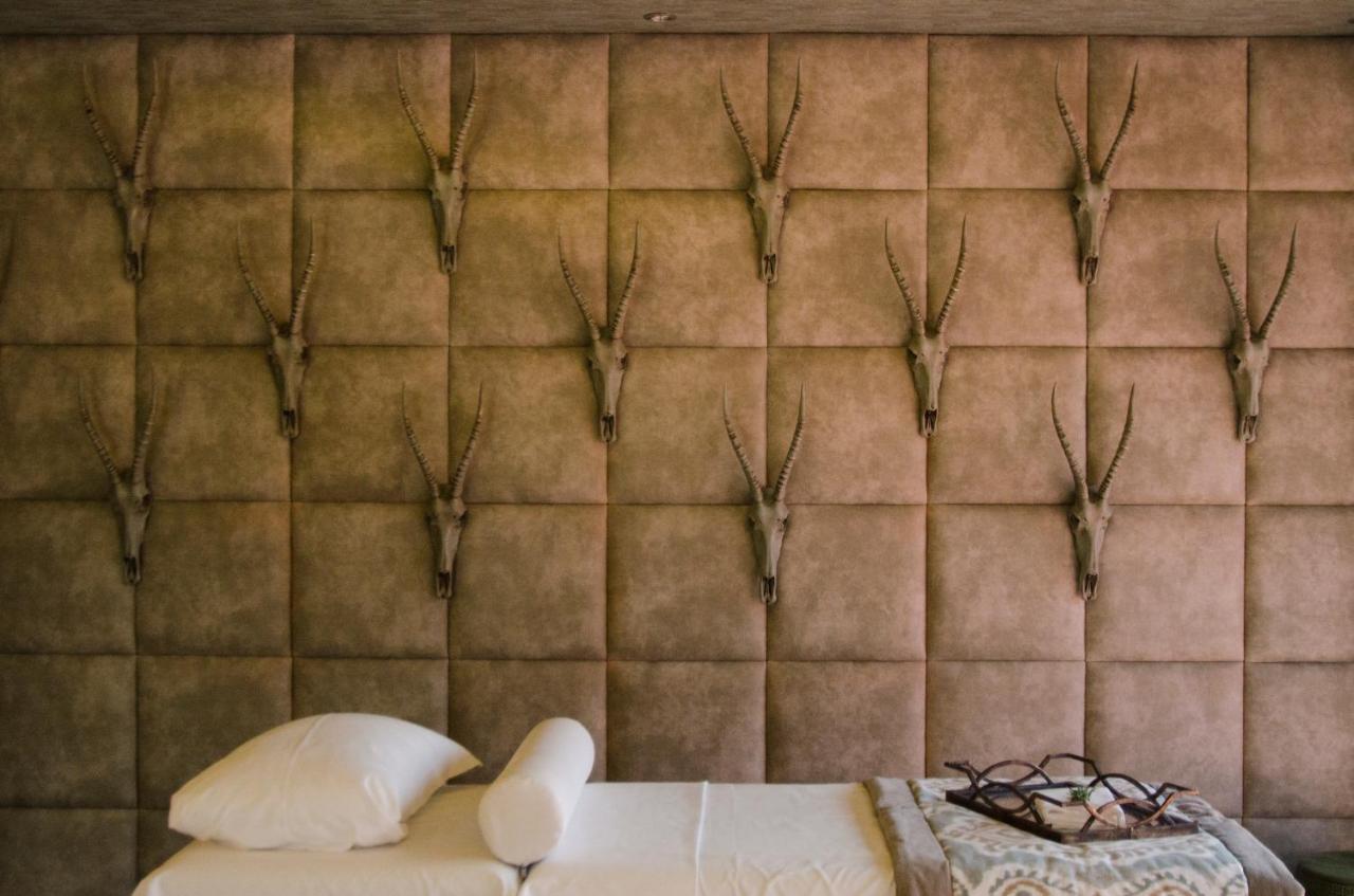 Palala Boutique Game Lodge And Spa Tom Burke Buitenkant foto
