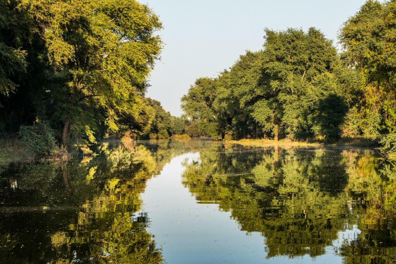 Palala Boutique Game Lodge And Spa Tom Burke Buitenkant foto